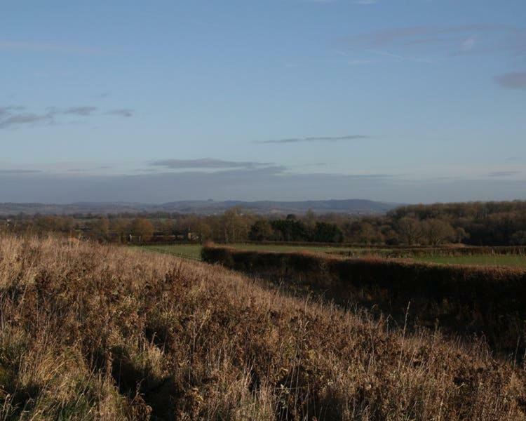 Cherry Orchard Farm South Wraxall Luaran gambar